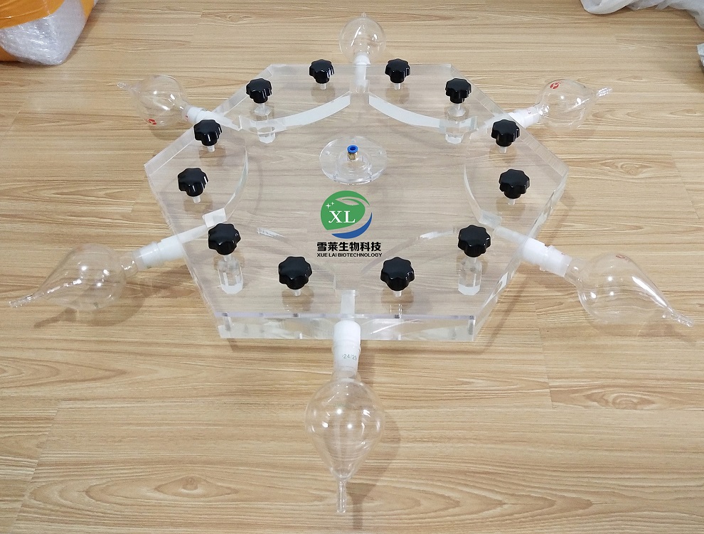 六臂昆虫嗅觉仪XLM6-300/昆虫嗅觉仪/厂家直销/南京雪莱