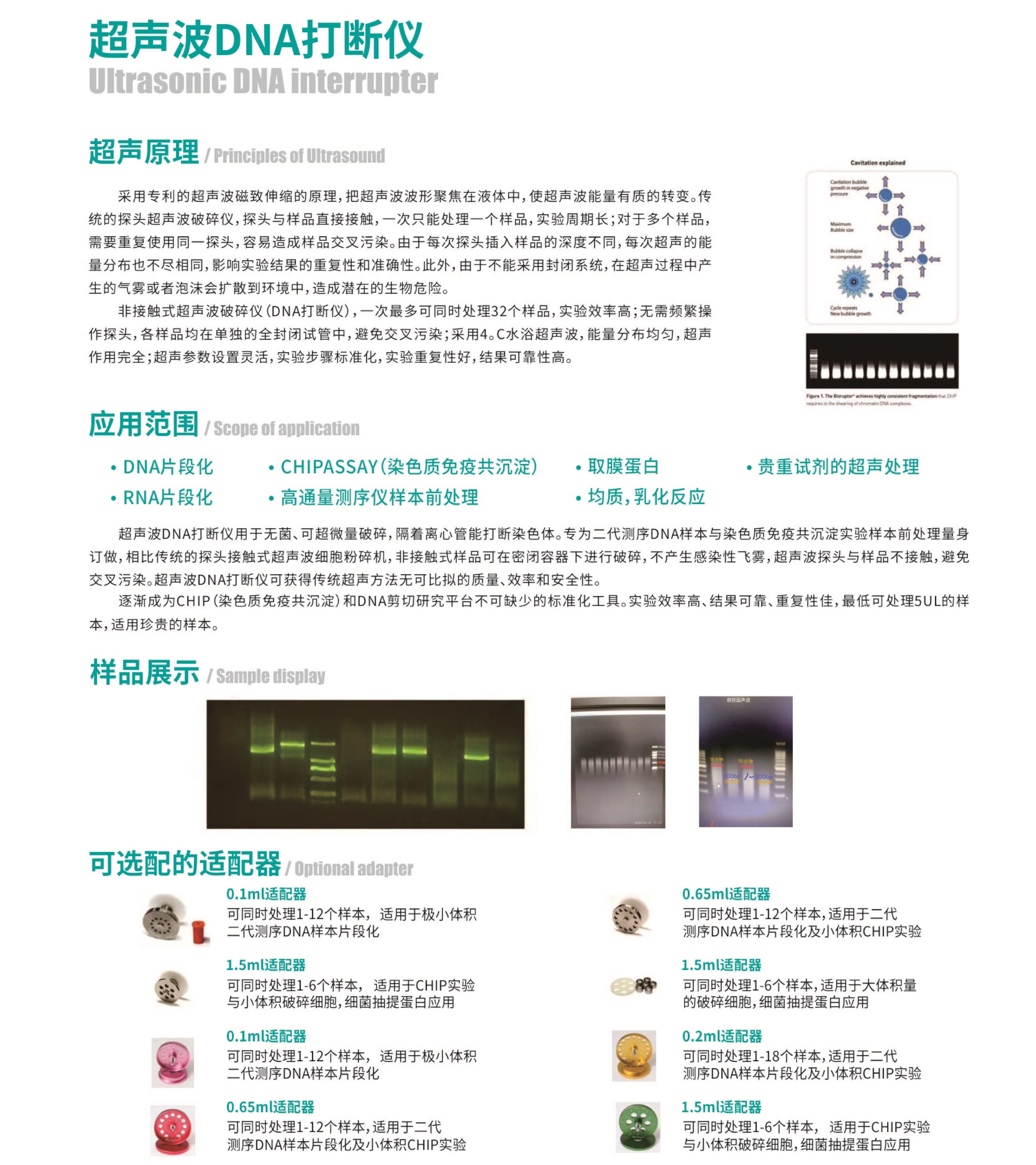 超声波DNA打断仪 非接触式DNA细胞破碎仪beidi-24A/48A/96A(图2)