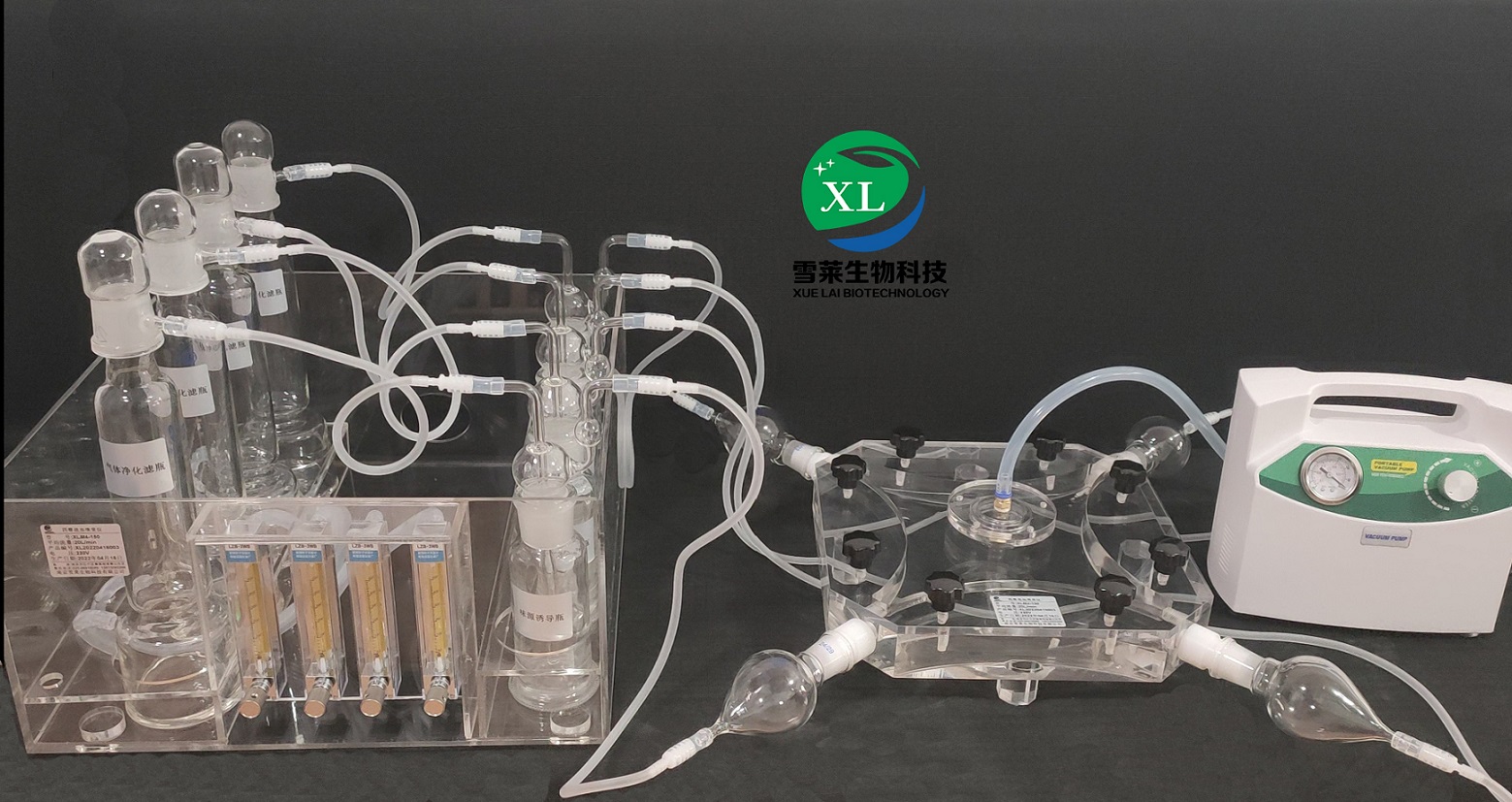 四臂昆虫嗅觉仪XLM4-30-150 四通道昆虫行为观察室 四壁嗅觉仪 南京雪莱生物科技有限公司