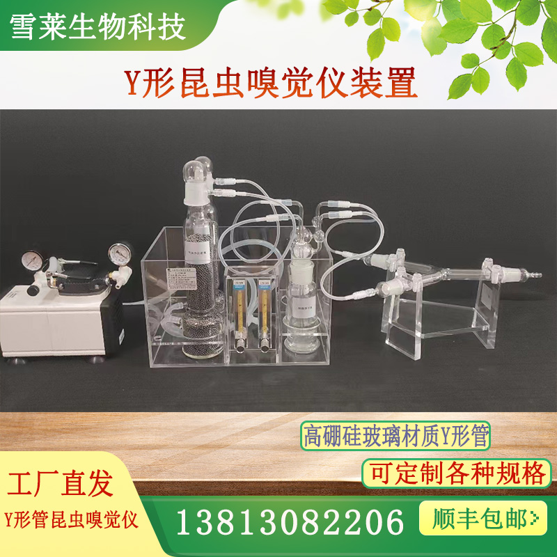 y形管昆虫嗅觉仪高硼硅玻璃材质昆虫嗅觉测试管 雪莱品牌厂家直销
